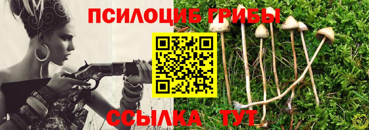 Химки  Псилоцибиновые грибы Magic Shrooms  купить наркотики сайты  Вход с VPN 